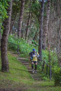 BIB: 
                            <button type="button" onclick="openModal(19249691)" class="btn btn-primary btn-sm float-right btn-popup" data-toggle="modal" data-target=".modal-high-quality">
                        <i class="fas fa-shopping-cart"></i> Add to Cart
                    </button>
                                            <button type="button" onclick="isThisMe(19249691, true)" class="btn btn-success btn-sm float-right btn-popup btn-isme hidden" data-toggle="tooltip" data-placement="bottom" title="นี่คือรูปของคุณใช่ไหม คลิกที่นี่เพื่อเอาเข้าอัลบั้ม">
                        <i class="fas fa-plus"></i> Add to album
                    </button>
                    <button type="button" onclick="isThisMe(19249691, false)" class="btn btn-warning btn-sm float-right btn-popup btn-isnotme hidden">
                        <i class="fas fa-ban"></i> Remove from album
                    </button>